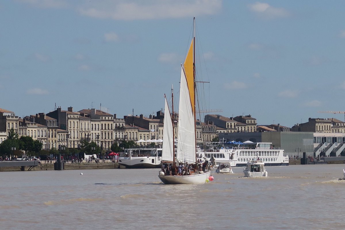 Ce matin, certains d’entre vous découvrent le port de #Bordeaux à bord du Skeaf : un bateau patrimonial en bois vieux de plus de 100 ans 👌
