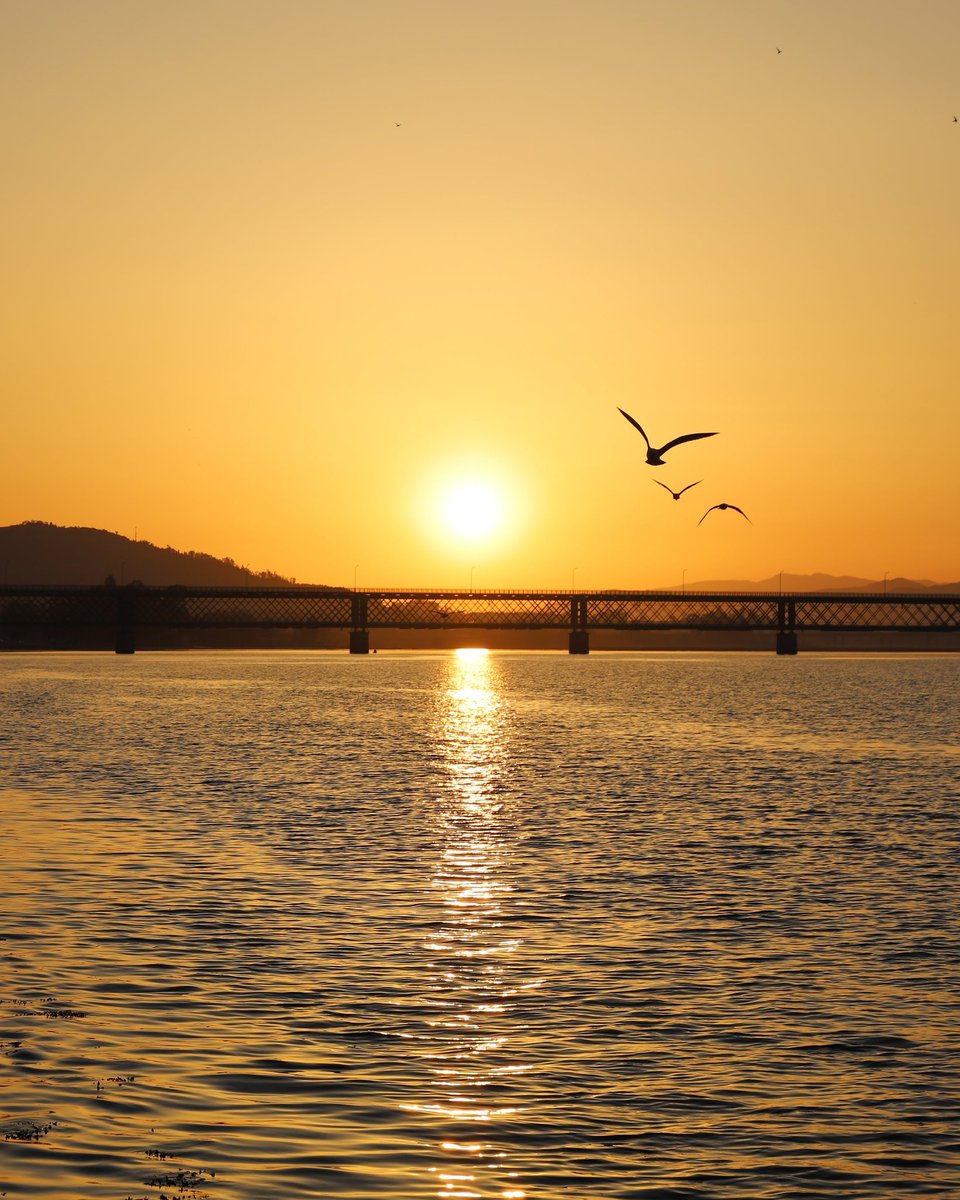 alfbel's tweet photo. Beautiful sunrise at Viana do Castelo, Portugal https://t.co/QOyiSpHlGW