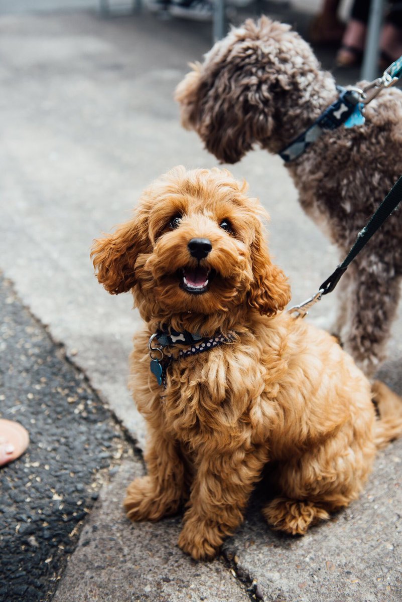 A SUNNY SATURDAY 🙏🙏

#EatNorth line up is a beauty, open from 12 today 🙏🙏

Food <a href="/Gogetstuffed/">gogetstuffed</a> / <a href="/vasokitchenmcr/">Vaso Kitchen Mcr</a> / <a href="/thedilladeli/">The Dilla Deli</a> / <a href="/BelgianWaffleT/">Belgian Waffle Tuk</a> ✅

FREE ENTRY 
Dogs encouraged 🐕
12-10pm 
DJs @edv3ctor 👋👋