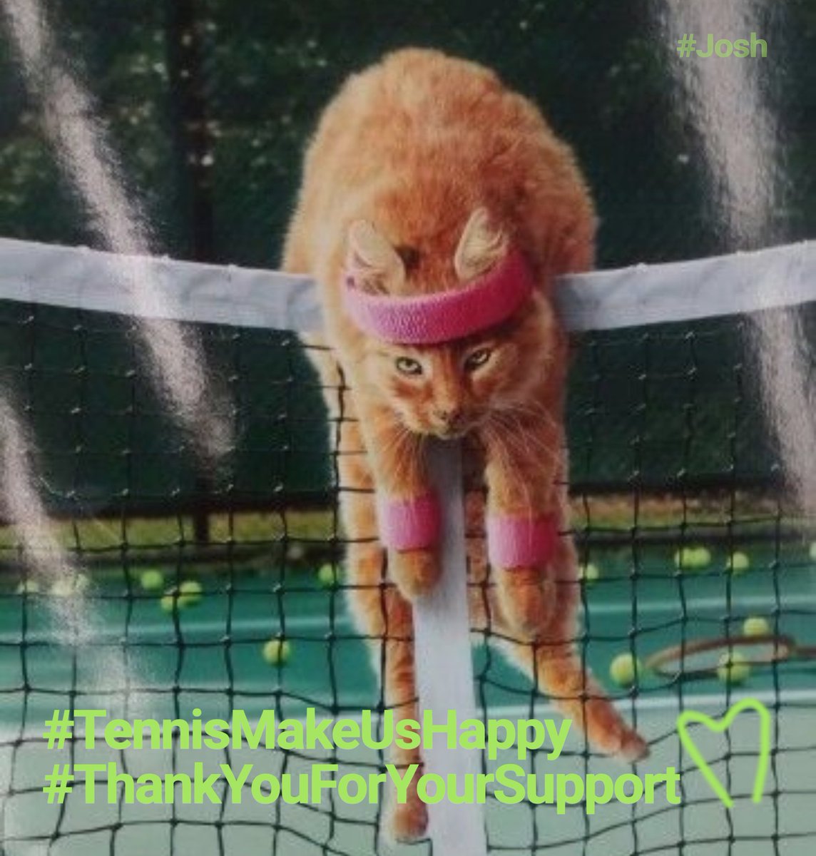 JoshNovak's tweet photo. today we'll try the qf on the grass..๐พ๐พ# unfortunately, for the continuing #health restrictions, just through our personal #livestream..
i can't fly #justnowโ๐ค
we're in different places around the ๐บ ๐ฆ๐น๐ฌ๐ง #HealthFirst #forboth๐ท
even so #ThankYouForYourSupport mf'sโโ๐ https://t.co/os9T83Ii8h