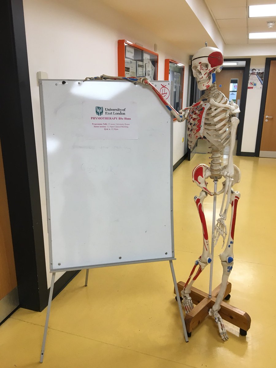 Physiotherapy At UEL tweet media