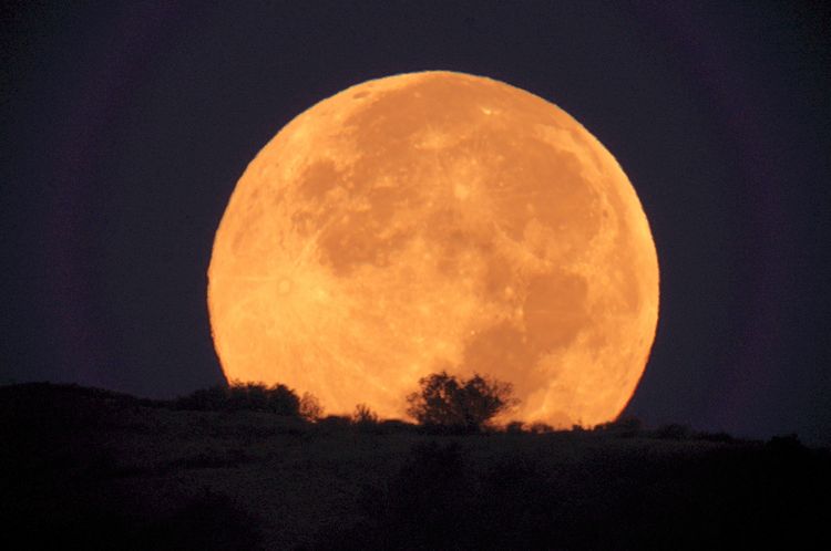 طقس ينبع ☔ tweet media