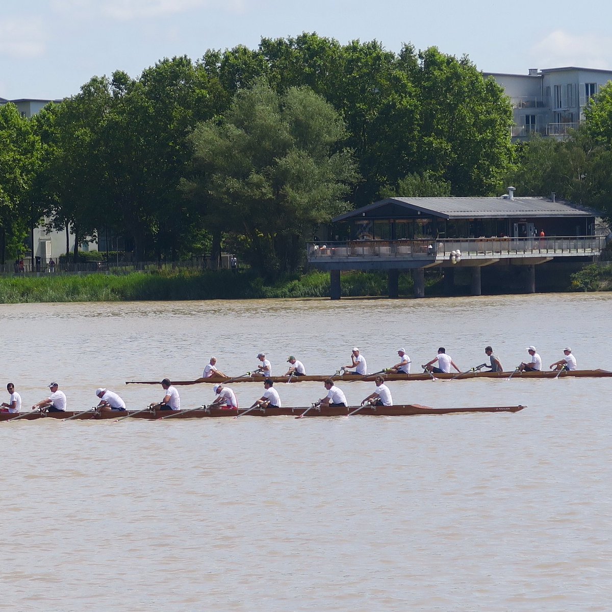 [Aviron] Entre 10h30 et 13h30, des équipages constitués de 8 rameurs et d’un barreur, vont se confronter en duels. La course se déroulera sur une distance de 1000 m, de la place des Quinconces au ponton d’Honneur #Bxff #Bordeaux