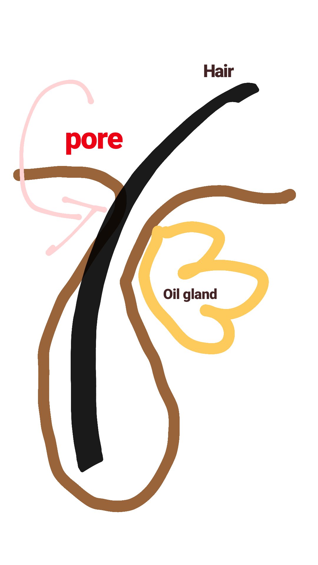 The Nerdy Derma® on Twitter "GIN0inAB0TTLE Another possible