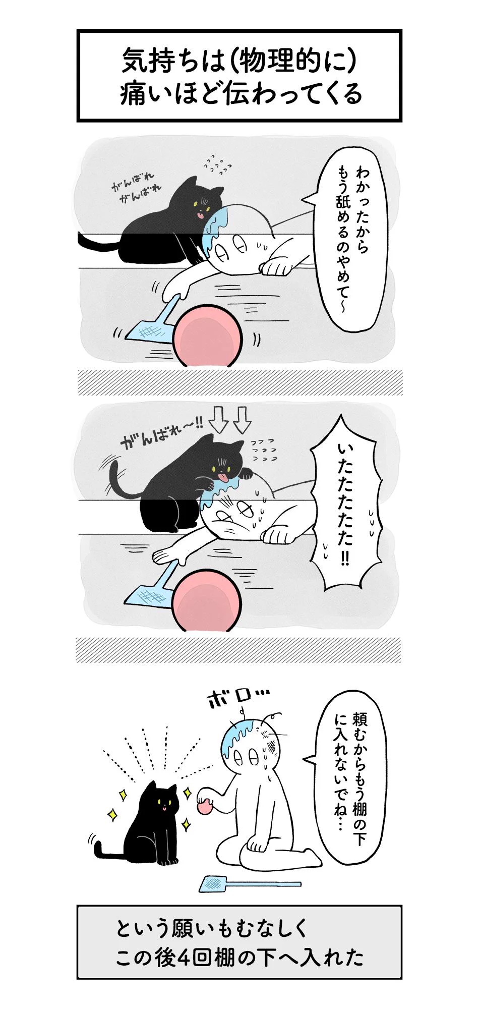 猫の気持ちって意外に分かりやすい…かもww物理的にww