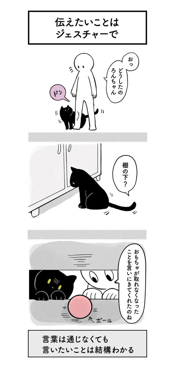 猫の気持ちって意外に分かりやすい…かもww物理的にww