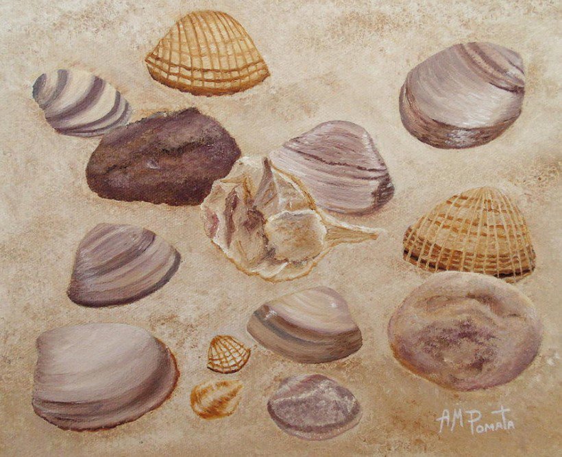 ampomata's tweet photo. This is my painting "Shells And Stones". You can check it out here: https://t.co/vBZyHJdyUf #art #arte #kunst #искусство #艺术 #アート #oilpainting #contemporaryart #ArtistOnTwitter #summer #beach #beachlife #sea #marineshells #stilllife #shells #repost https://t.co/dMFgRhKHHM