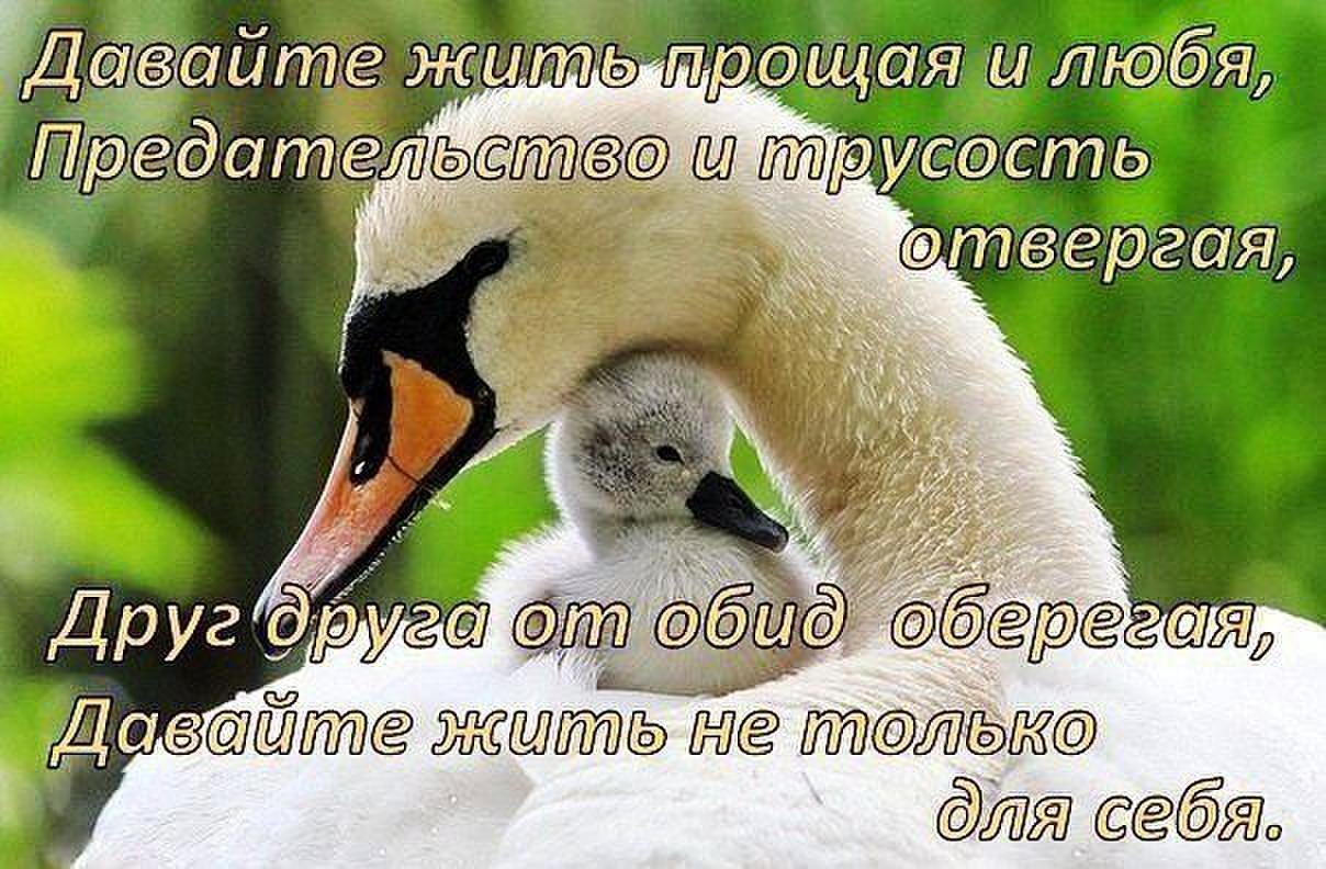 Картинки давай простим друг друга