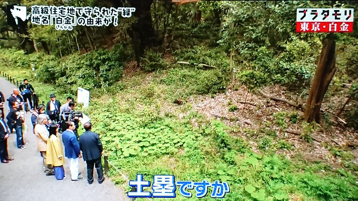 白金はなぜシロガネーゼの街に Ghqvs吉田茂 建設省vs文部省など度々の危機を乗り越え 高級住宅地 が残った理由とは ブラタモリ 2ページ目 Togetter 白金はなぜシロガネーゼの街に Ghqvs吉田茂 建設省vs文部省など度々の危機を乗り越え 高級住宅地 が残った理由とは ブラタモリ 2ページ目 Togetter