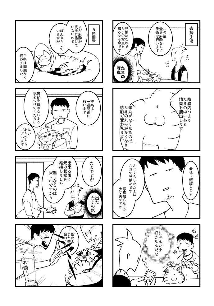 わたしと猫の殿 #オリジナル #猫 #猫漫画 #漫画 #4コマ #実録 https://t.co/QvhyAVNi9r 