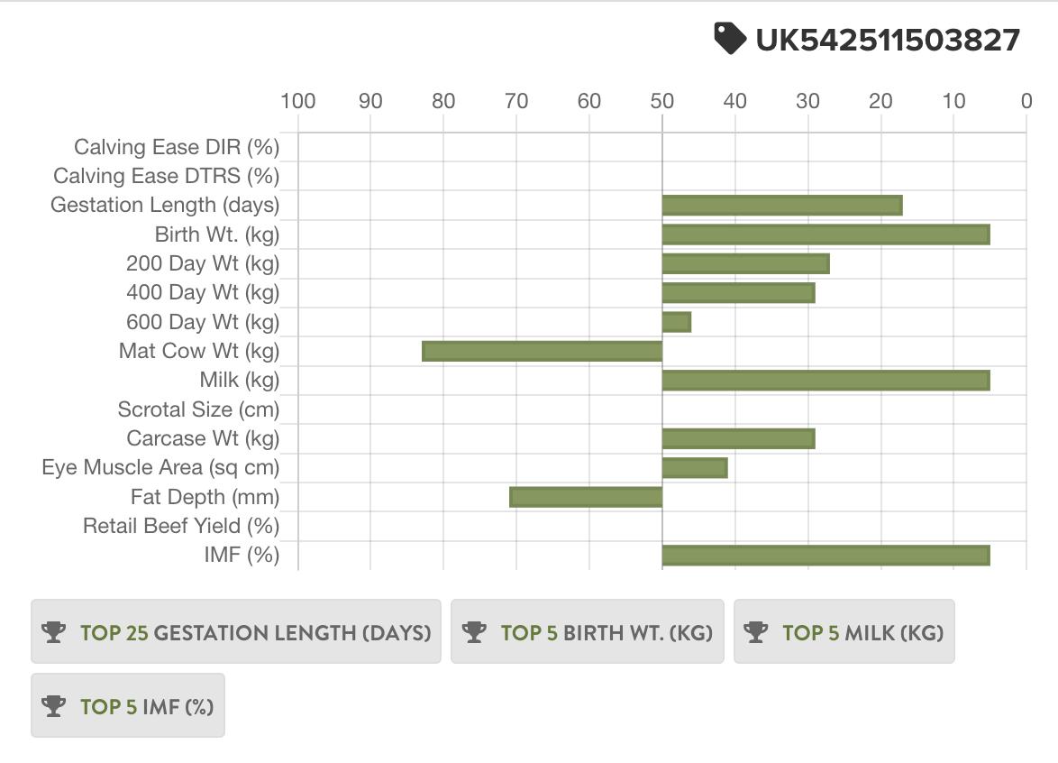 sellmylivestock's tweet image. Fordel Lockdown P827

Lockdown is a son of the great Stockman 365 from the top American donor cow Champion Hill Lucy 6863 ET. 

Proven Aberdeen Angus bull with great bloodlines and figures. Daughters have lots of milk and are very fertile. 

Buy now:
sellmylivestock.co.uk/view/product/F…