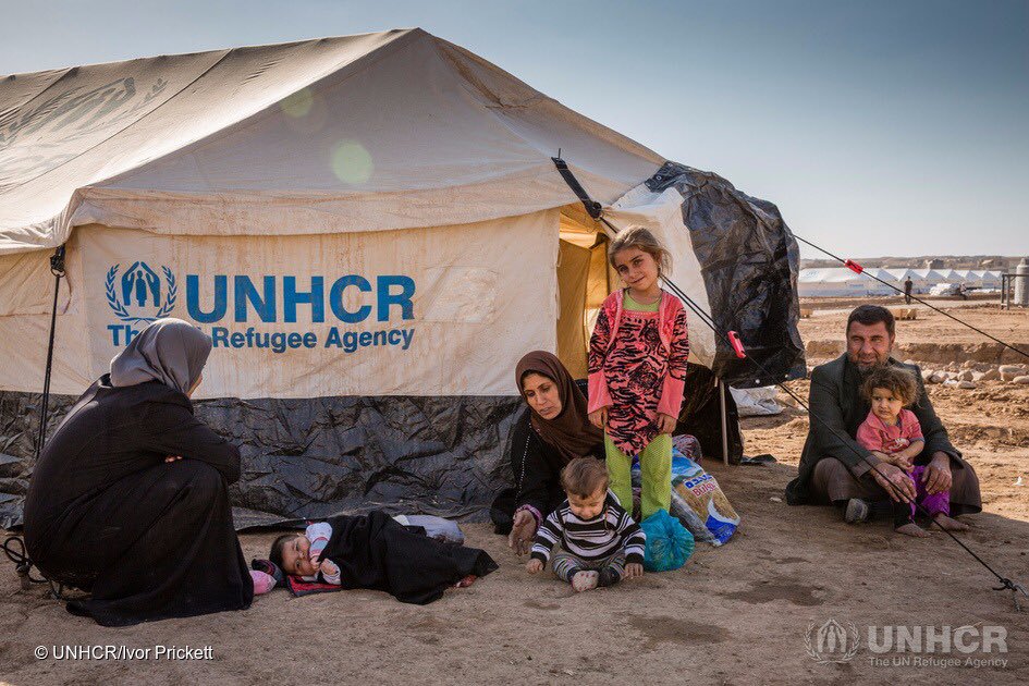 I don't think that refugees and displaced people should be obliged to live in tents and shelters such as these. Where's the dignity?