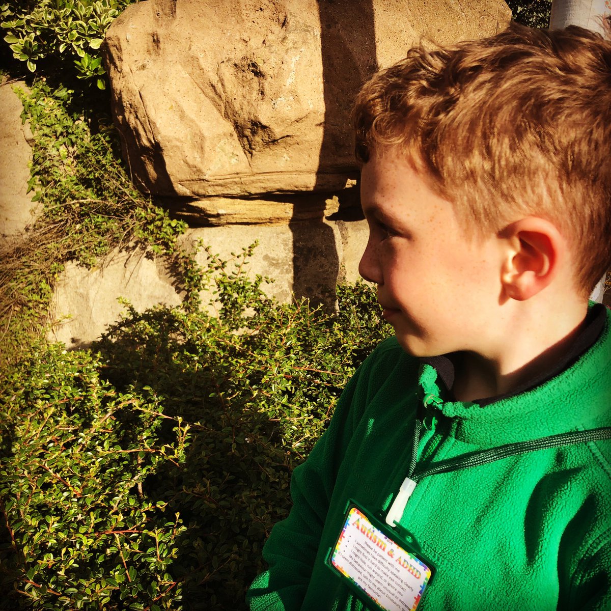 ASD Star Shine tweet media