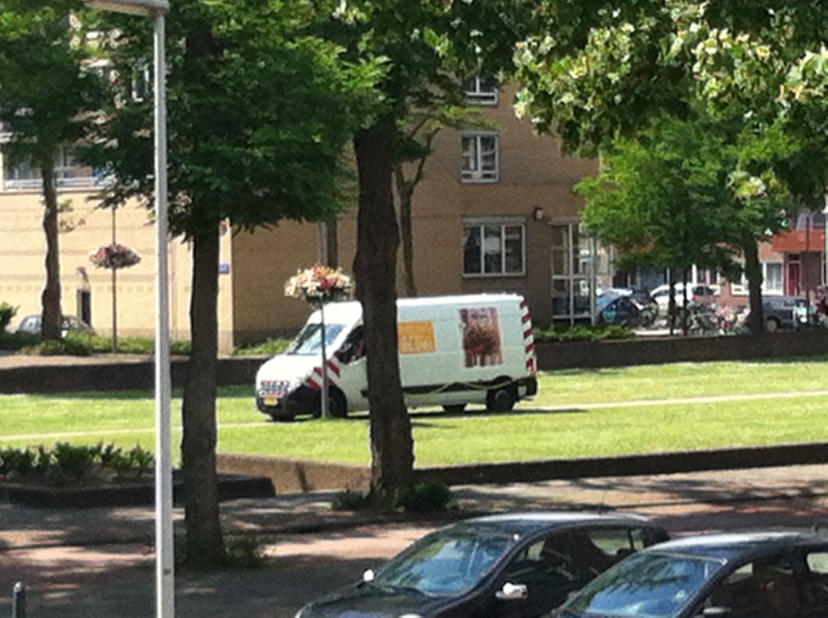 Koeweide1's tweet photo. Onze bloemetjes op #Koeweide in #Crooswijk worden goed verzorgd in deze warme dagen. https://t.co/z6mdnC5krt