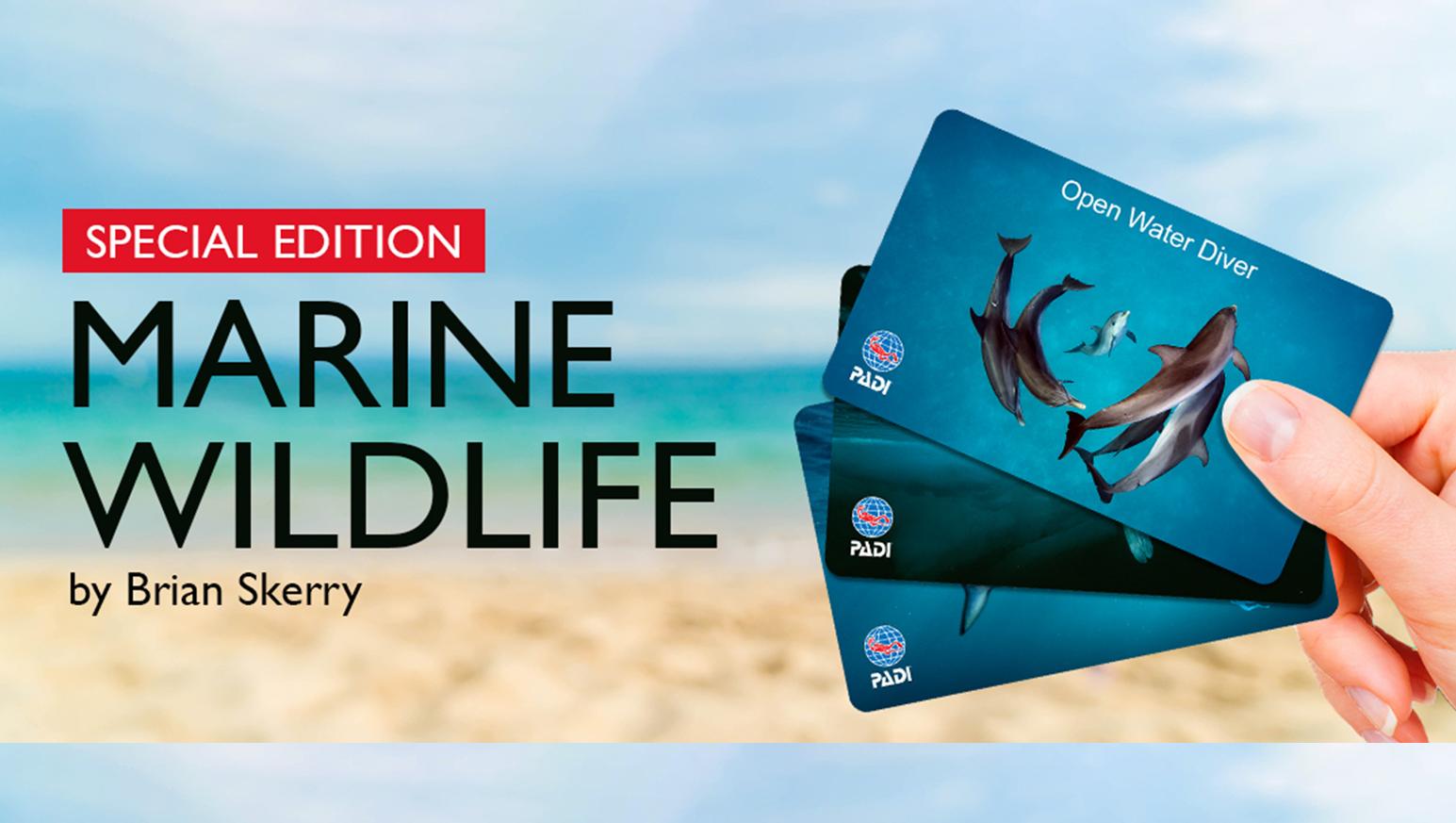 Padi Japan 新しいpadi再発行限定cカードデザインが決まりました 今回のデザインは 著名な動物 水中写真家brian Skerryさんによる タテゴトアザラシ タイセイヨウマダライルカ アオザメ の3作です あなたならどのカードを選びますか
