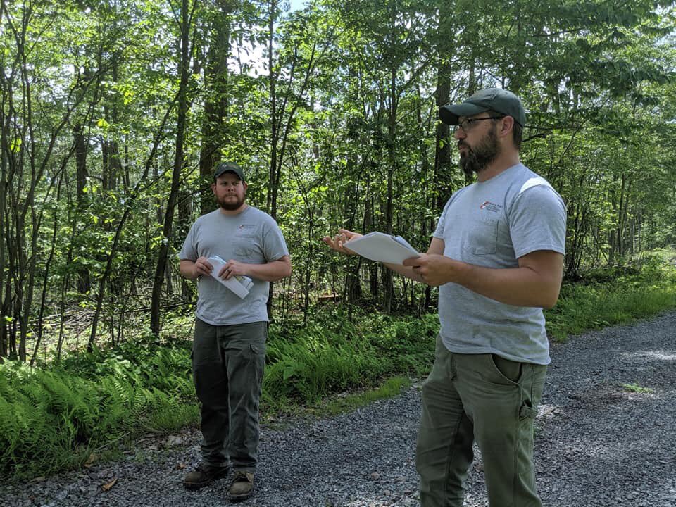 mdforests's tweet photo. MFA helped match funds needed to apply for a grant to Redevelop MD’s Forest Products Industry. https://t.co/eA4u5Yqc1E #marylandforests #forestsforever #workingwoodlandswork #workingforest #treesarecrops https://t.co/NGKlKkvAN2