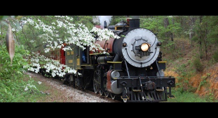 editorNETexan's tweet image. The Proposal (part 18): Hook and Shackles  thenortheasttexan.com/2019/06/22/hoo…