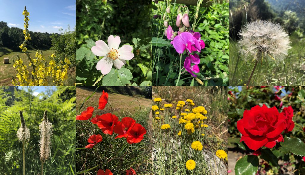 vagramuntflix's tweet image. #OJOALDATO pero si en cambio eres de los que se aventuran a emprender el viaje preparate, te esperan muchas sorpresas, algunas tan bellas como estas ...
@seidor #AnalyticsNext journey @SAPAnalytics