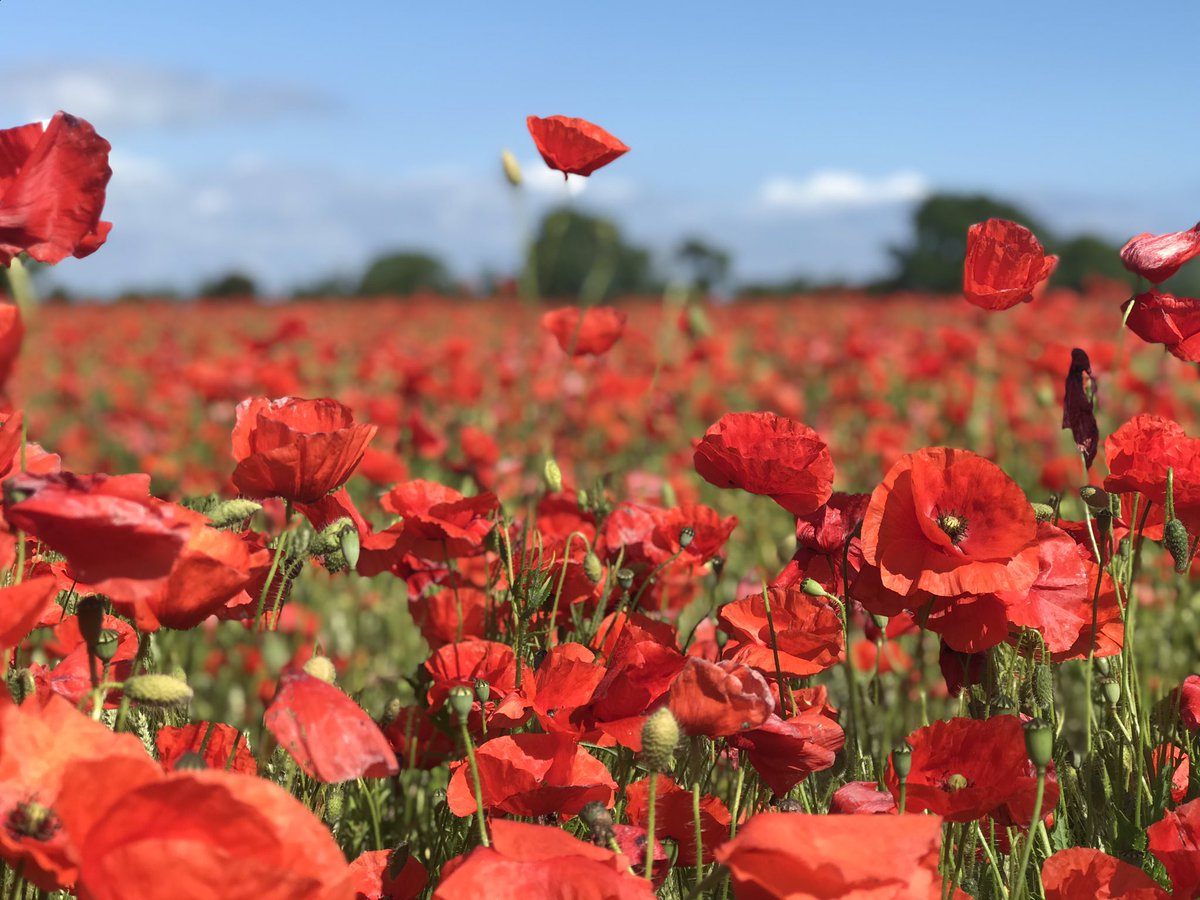 cnfrenchtrip2019 tweet media