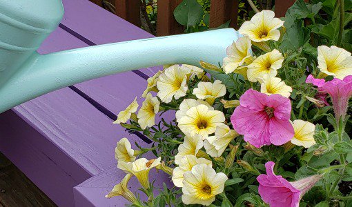 JugglingActMama's tweet photo. Don't forget to #entertowin a @WagnerSprayTech prize pack including a #flexio paint sprayer and spray tent, perfect all your summer projects!
CHECK IT OUT: https://t.co/SXfNRZTO1P
#ad https://t.co/OBKDmON7AV