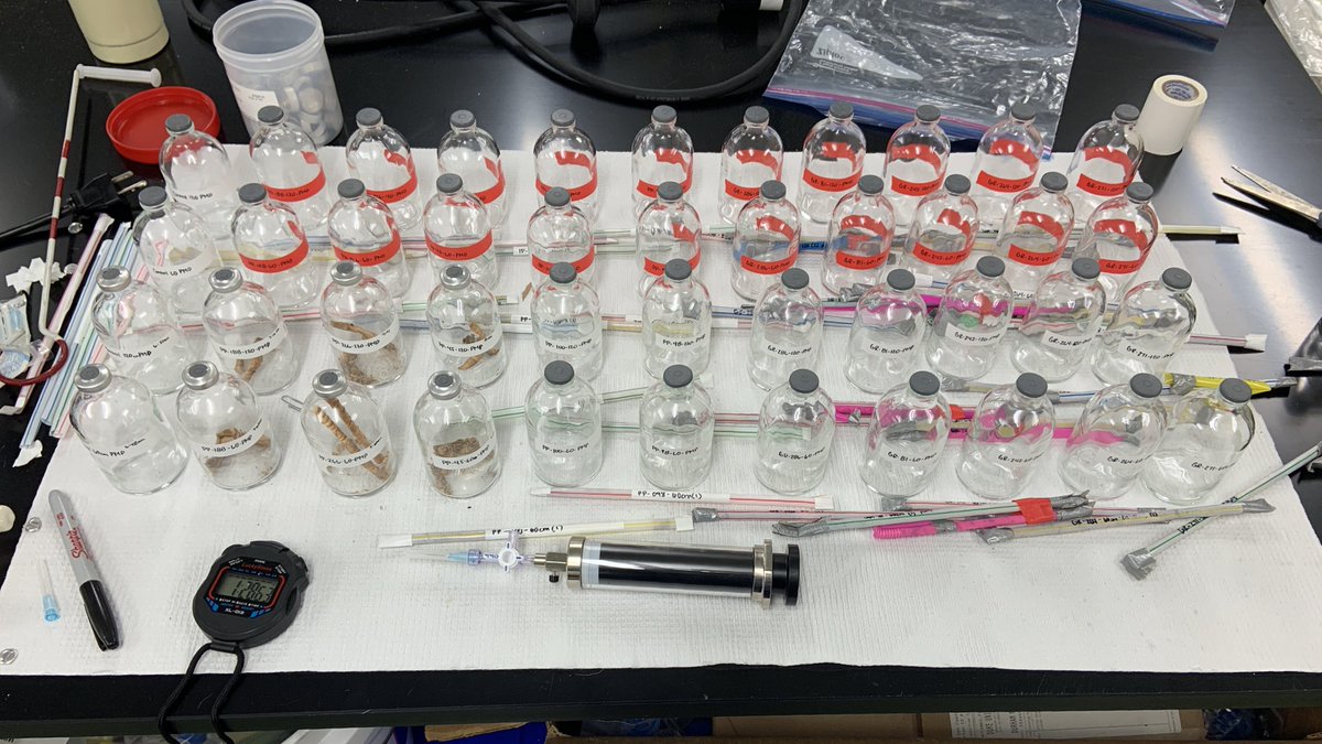 wetland_melinda's tweet photo. The beginning of a 48hr incubation of tree cores. #ArdonLab https://t.co/t3Frmp1PgV