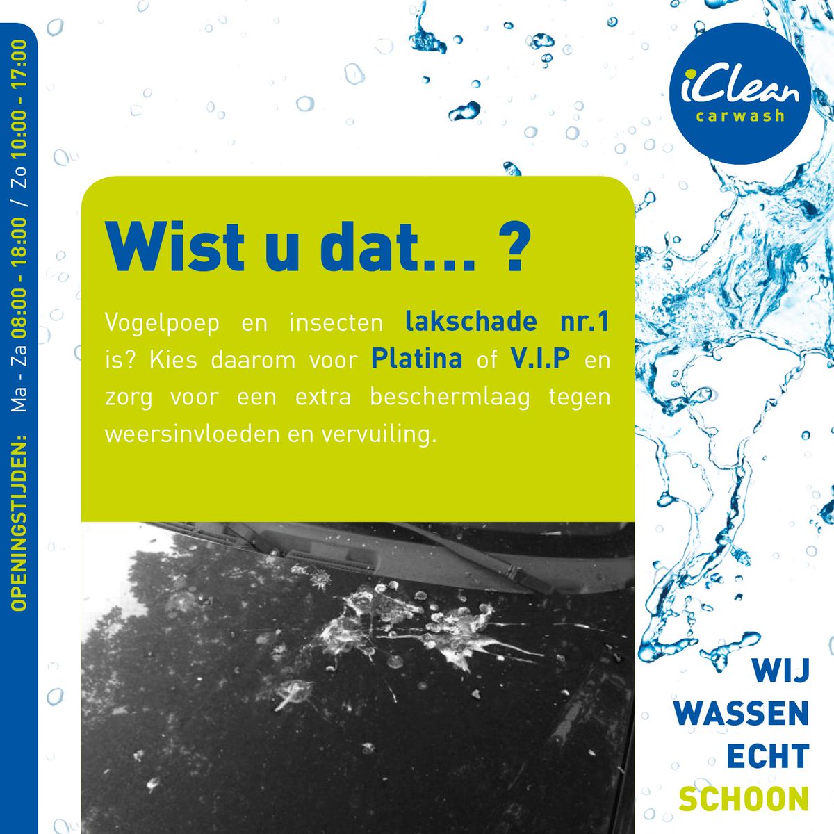 Voorkom lakschade en laat de vogelpoep en insecten nog snel verwijderen voordat de zon alles laat inbranden in uw lak aankomende week. 
#wistudat #icleandeventer #deventer #vogelpoep #lakschade #uwheiligekoebeschermen