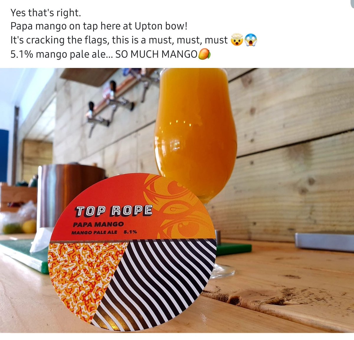 Bow-Legged Beagle Upton (@uptonbow) on Twitter photo 