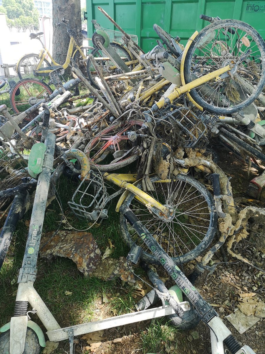 Pêche miraculeuse au pont d'Austerlitz. Qu'il est bon de vivre dans un pays civilisé... <a href="/limebike/">Lime</a> <a href="/GoBeeBikeFR/">GobeeBike France</a>
