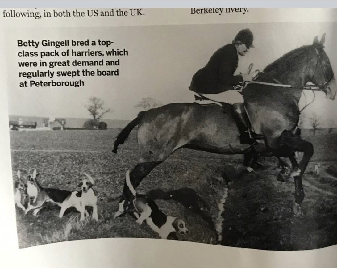hackupbespoke's tweet image. 25 years after she leaves this world Betty Gingell is @horseandhound 135 year birthday issue with her grandsons Bespoke Factory advert only 50 pages between them! #bespokeheritage #hackupbespokesupplements