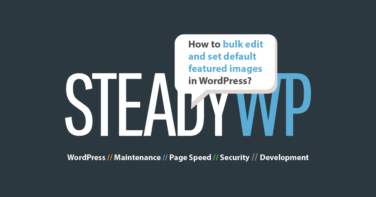 SteadyWp tweet picture