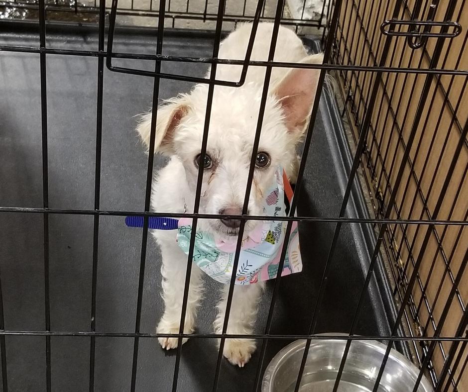 Kazu is waiting for you! Early Bird admission begins at 12pm today. Get your ticket here and skip the line >> ow.ly/UijG30oZ5Cf. #IndyMega