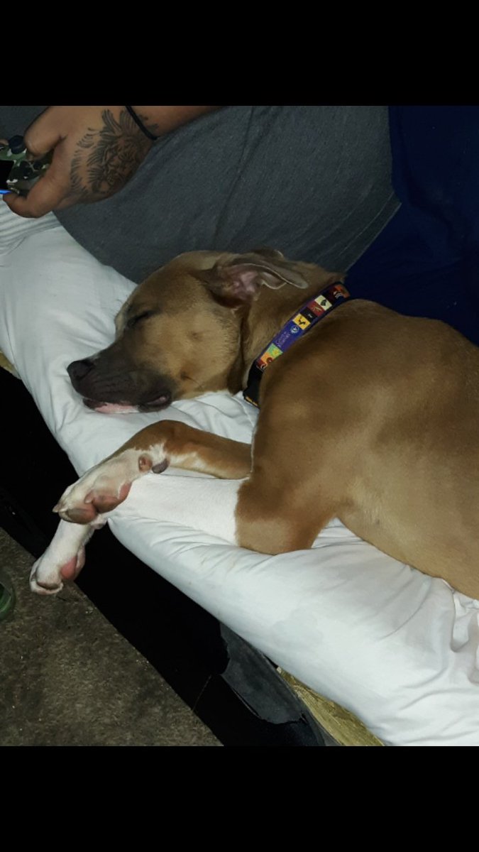 Alyssa Carlton tweet media