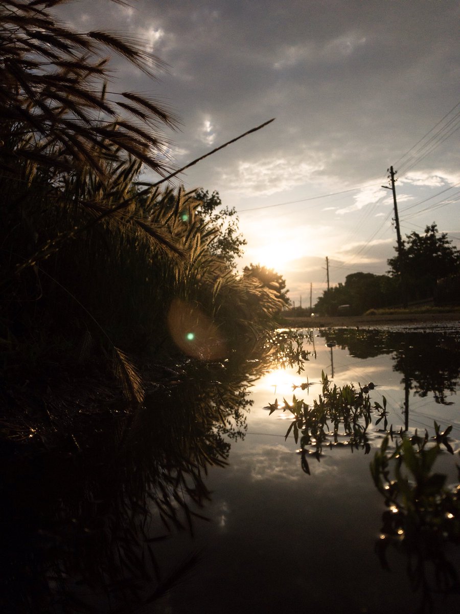 NATPICSs's tweet image. ✨🌞