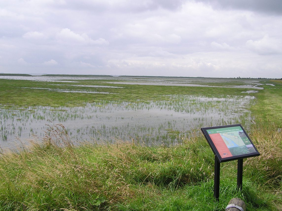 im_coasts's tweet photo. Thank you, Joshua Kiesel, and @markschuerch for leading on this new paper on #waterlevels within the #Freiston #managedrealignment site. Site exposure, meteorological conditions, and site geometry are key to event-dependent #flooddefence performance. https://t.co/H4dnmcg7LN https://t.co/WBDrh6juix
