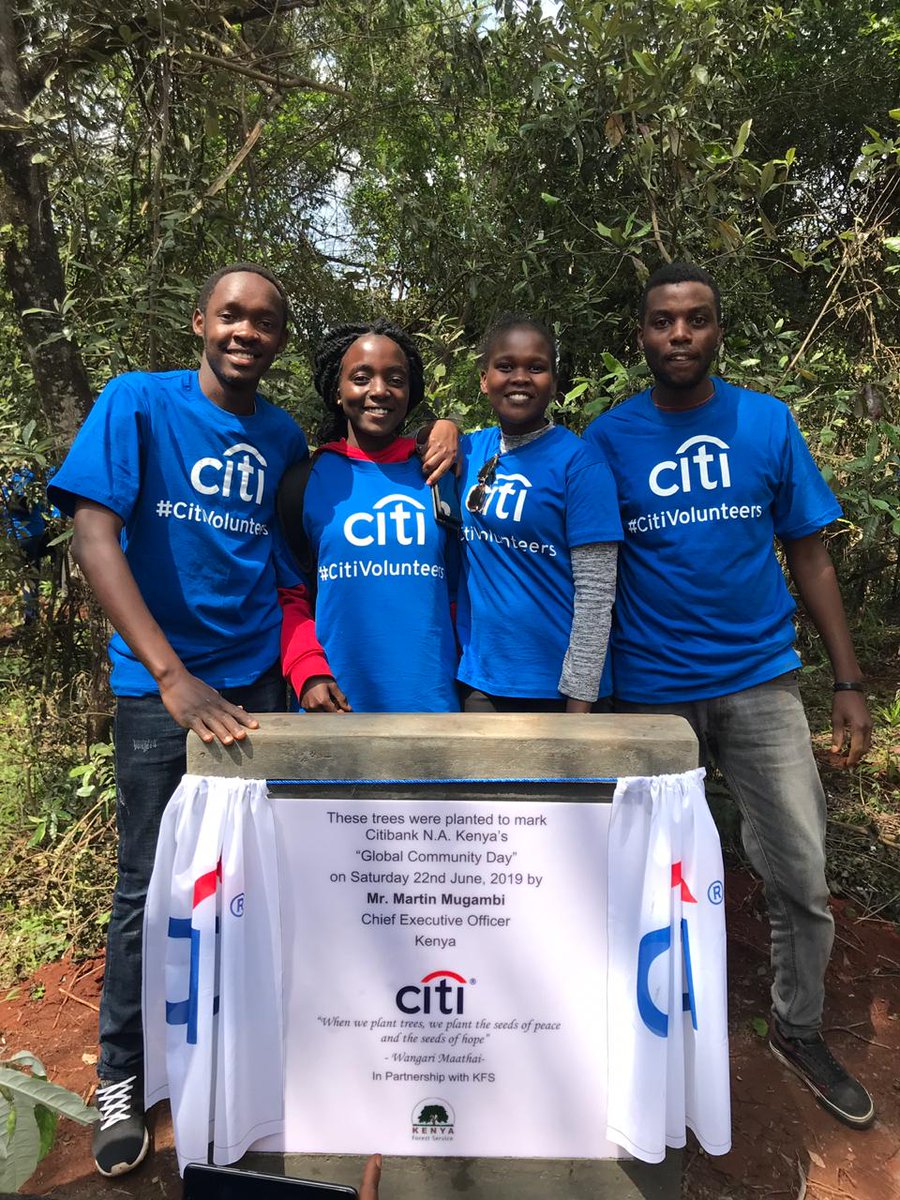 Rainy seasons means more green and greening the environment, planting trees help us increase the carbon sinks in the planet hence reducing climate change 🤗
@UNEnvironment @Citibank @wilfred_kiptoo #greeningkenya #CitiVolunteers #GreenCities