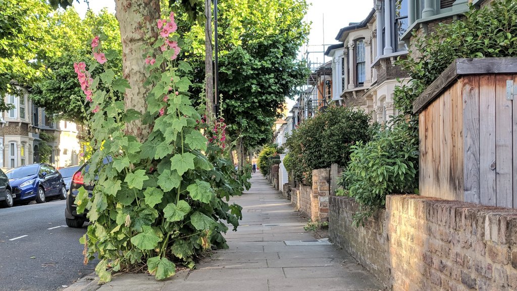 LondonNPC's tweet photo. Who's seen a great #treepit (that area of earth around a street tree)? Reply with your photos and let's create a thread of #treepit inspiration! This one is in #Hackney.
#NationalParkCity #WhatIfWhyNot https://t.co/APMx7AIzZS