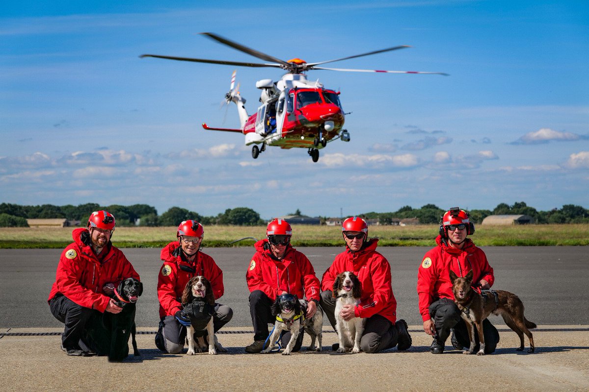 HSARDogs's tweet photo. A Saturday in the sun with a twist today. Big thanks to @bristowgroup @MCA_media for the winch training for our Search Dogs. One of many emergency services we can work with so important to train together. https://t.co/tBPGudIyLG