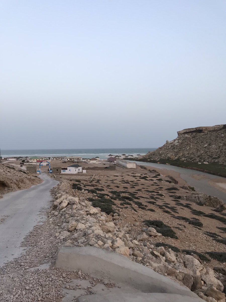 Buuro iyo barwaaqo, bad iyo xeeb. ✨🇸🇴  #Eyl #Somalia