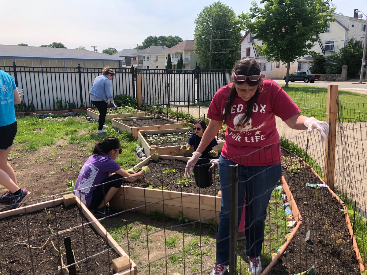 Baldwin in Bloom on this beautiful Saturday morning.   Brown medical students giving their time.  So grateful for our community partners!  ⁦<a href="/PawtucketSup/">Patti DiCenso</a>⁩ ⁦<a href="/CherylMcW/">Chez</a>⁩ ⁦@Baldwin_School⁩ ⁦<a href="/MrBergeron888/">Matt Bergeron</a>⁩ ⁦<a href="/BrownUniversity/">Brown University</a>⁩ #watchUSsoar