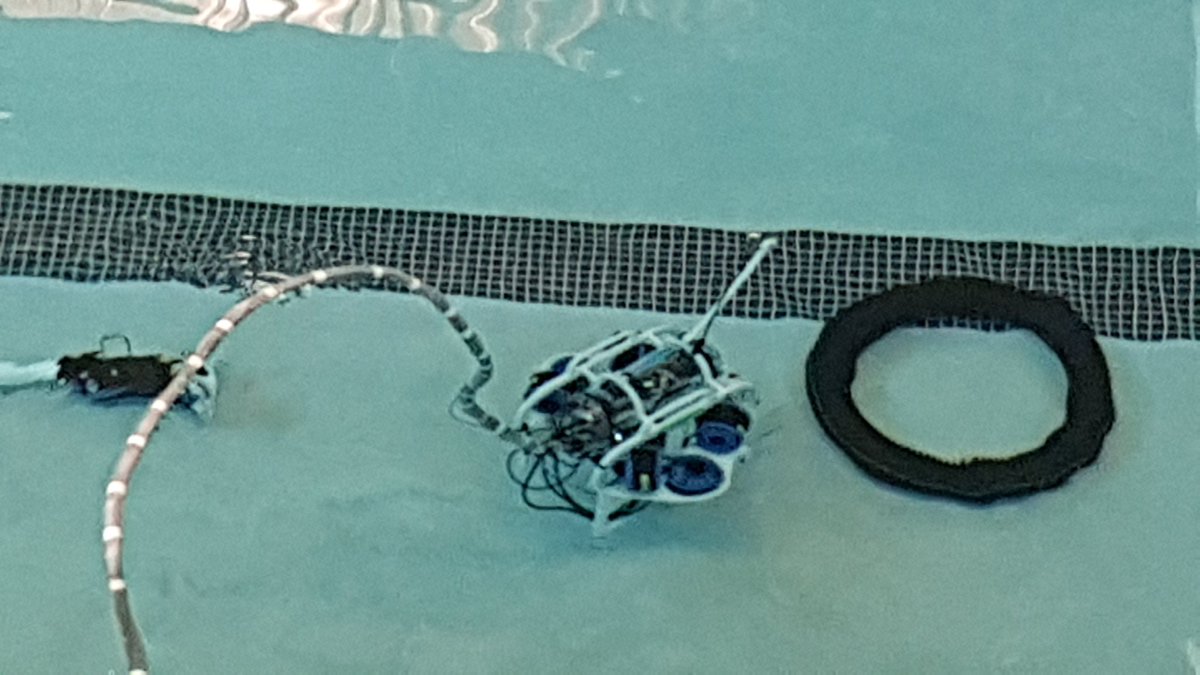 ODRobotics's tweet image. Just finished our final bonus mission. That&apos;s it for us in the competition. Thank you @matecenter for the amazing experience! #OD4DinTN