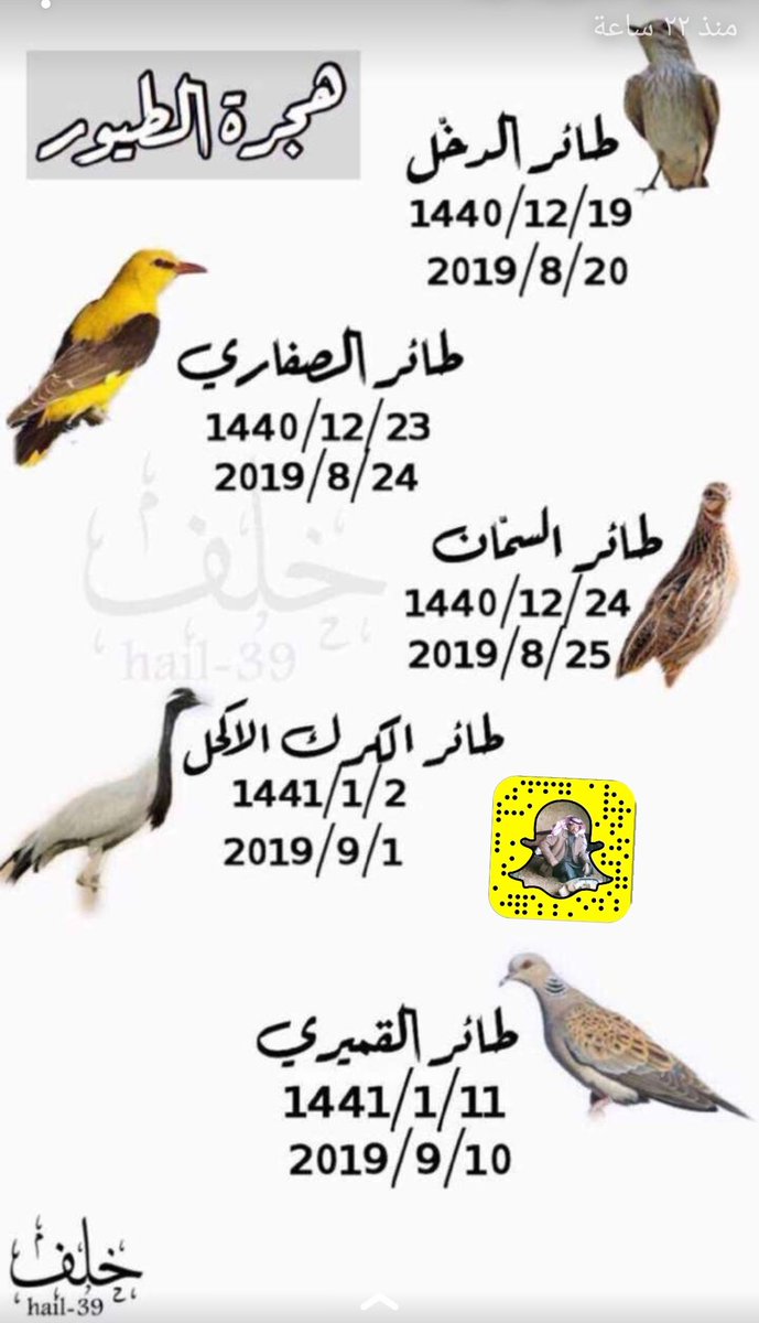 جدول هجرة الطيور 1443