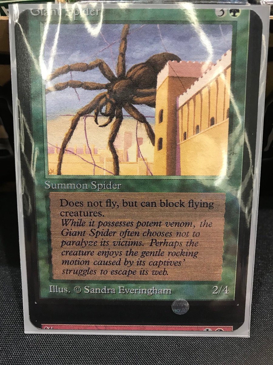 Giant spider mtg (MtgGiant) Twitter