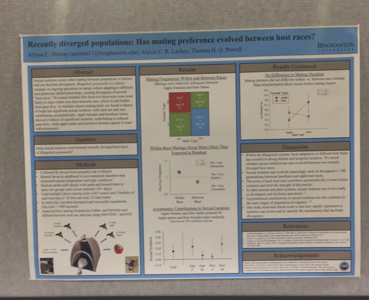 Interested in speciation? The development of sexual isolation during divergence? Come check out poster 182 tonight at #Evol2019