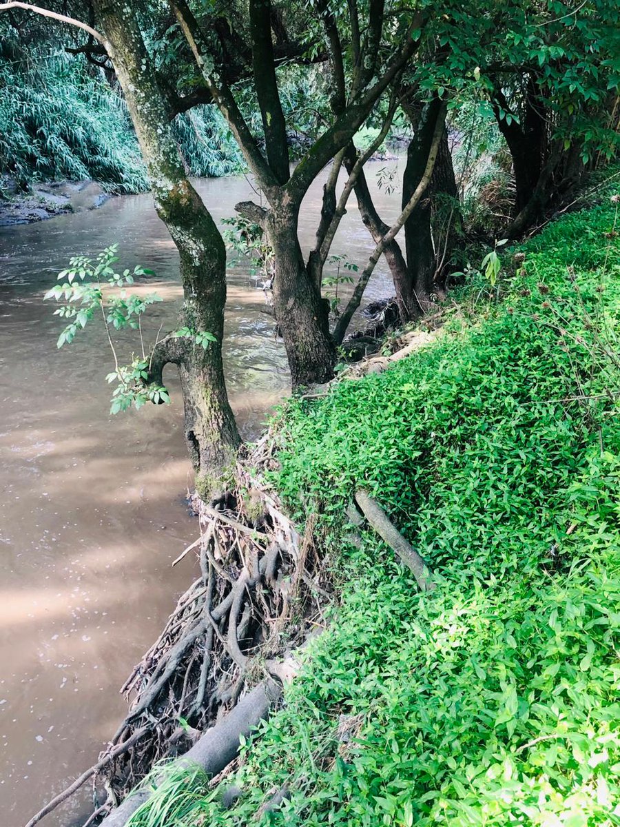 ConvencionesPue's tweet photo. Esta mañana realizamos brigada de limpieza en el Paseo Ribereño @rioatoyac, como parte de la iniciativa #GlobalCleanUpRelay.
#AhorraTeTocaATi #ExpoVerde https://t.co/lUyaps4rvq