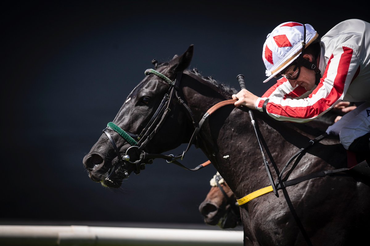 September graduate Dadoozdart lands the <a href="/Magniers_/">Magniers</a> Ulster Derby for <a href="/tuvastables/">Noel Meade Racing</a> Mrs M Cahill &amp; Shane Foley. The 3yo by Dawn Approach was sold in 2017 by <a href="/bill_dwan/">Bill Dwan</a> The Castlebridge Consignment to Noel Meade for €14,000. Well done to connections!