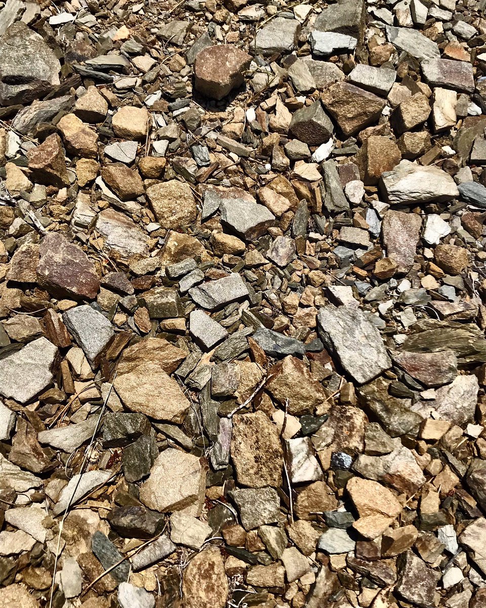 Racimoalpaladar's tweet photo. La mejor alfombra mágica del mundo, la 𝐥𝐥𝐢𝐜𝐨𝐫𝐞𝐥𝐥𝐚 del 🍇 #Priorat .
#wine #winelover #prioratlover https://t.co/91uTRwjz6N