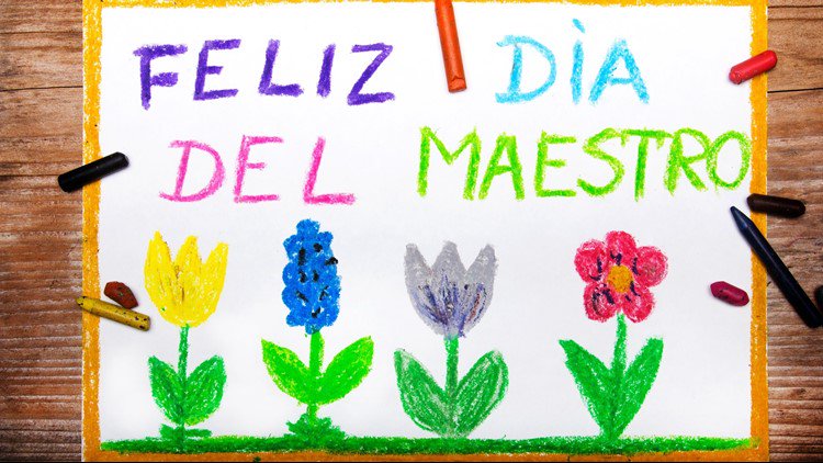 Hoy 22 De Junio Se Conmemora El Dia Del Maestro En El Salvador Para Reconocer La Ardua Labor Y Vocacion De Los Profes Noticias 4vision Scoopnest