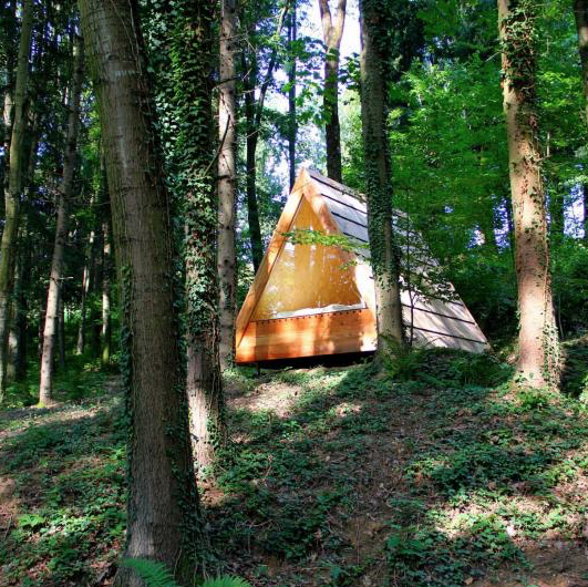 CelestecarterM's tweet photo. DIY Your Own Luxurious A-Frame Wooden Cabin to Fulfill All of Your Glamping Dreams — DIY Tiny House

https://t.co/Jj7RINEZRa
#CelesteCarterMcAfee 🔨#DIY 🔧#DIYTIPS 🔦 #HOME #HowTo 🏡#KellerWilliamsLegacyGroup
 #HOMEOWNER #SELL #BUY #REALESTATE #REALTOR 
https://t.co/dgWrkSS7d0 https://t.co/0nf3Nrea1D