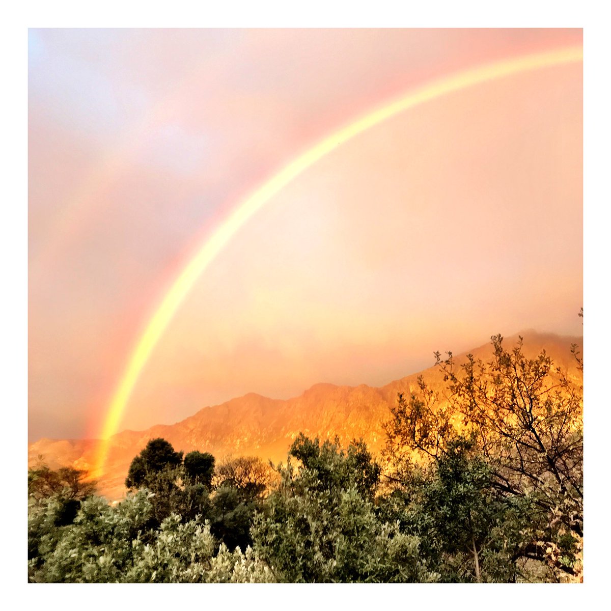 A rainbow over Boekenhoutskloof. #2019sareport