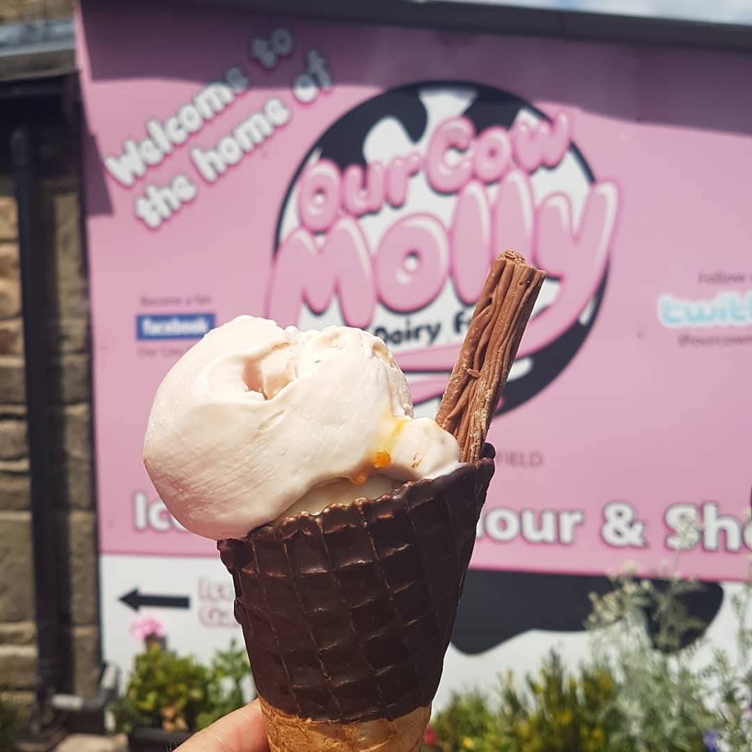 Dr. Stephanie Shepheard (@srshepheard) on Twitter photo I'm walking 23 miles in #tuosbigwalk this Friday to raise money for scholarships for disadvantaged students at <a href="/sheffielduni/">The University of Sheffield</a>. Today was my last training walk, complete with <a href="/OurCowMolly/">Visit #OurCowMolly 11am - 5pm Wed, Fri, Sat & Sun</a> ice-cream and gorgeous #sheffield <a href="/theoutdoorcity/">The Outdoor City</a> views 😃 I'm walking 23 miles in #tuosbigwalk this Friday to raise money for scholarships for disadvantaged students at <a href="/sheffielduni/">The University of Sheffield</a>. Today was my last training walk, complete with <a href="/OurCowMolly/">Visit #OurCowMolly 11am - 5pm Wed, Fri, Sat & Sun</a> ice-cream and gorgeous #sheffield <a href="/theoutdoorcity/">The Outdoor City</a> views 😃